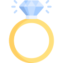 Fiancé Visa